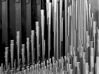 Organ pipes